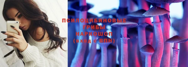 таблы Елабуга