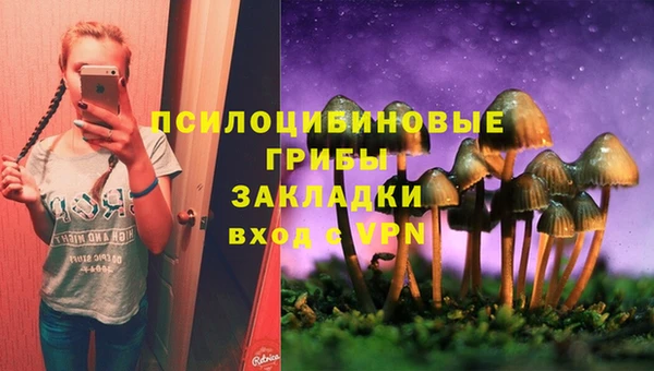 винт Заводоуковск