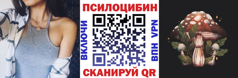 Псилоцибиновые грибы Psilocybe  Купить  Еманжелинск 